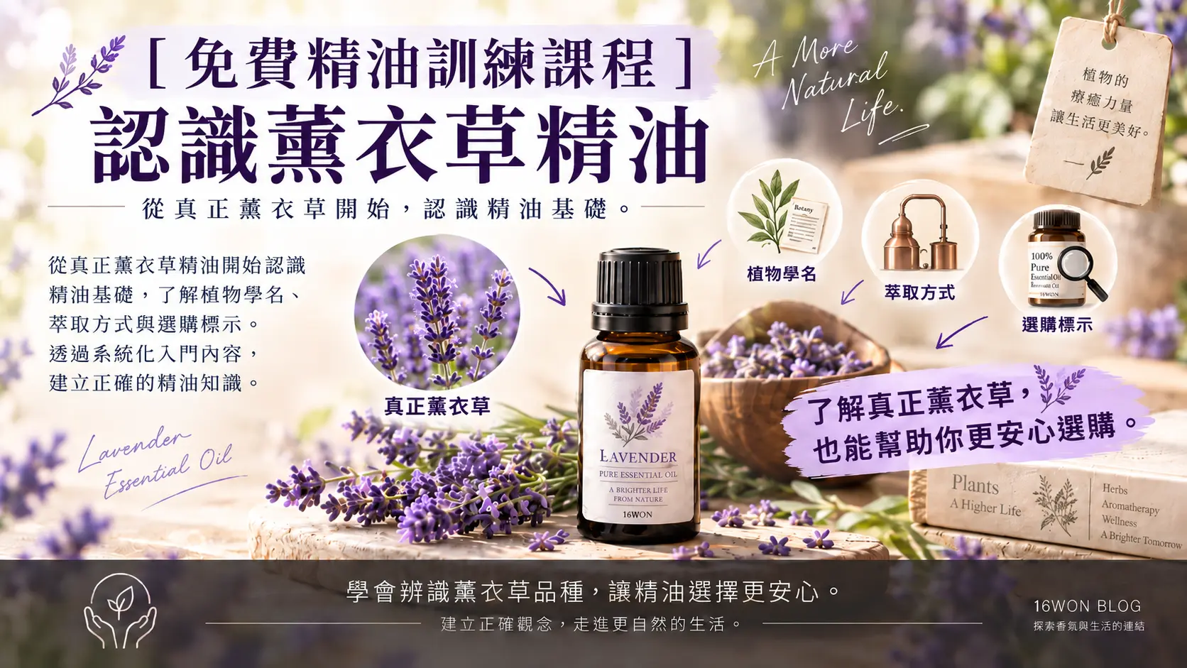 [ 免費精油訓練課程 ] 認識薰衣草精油