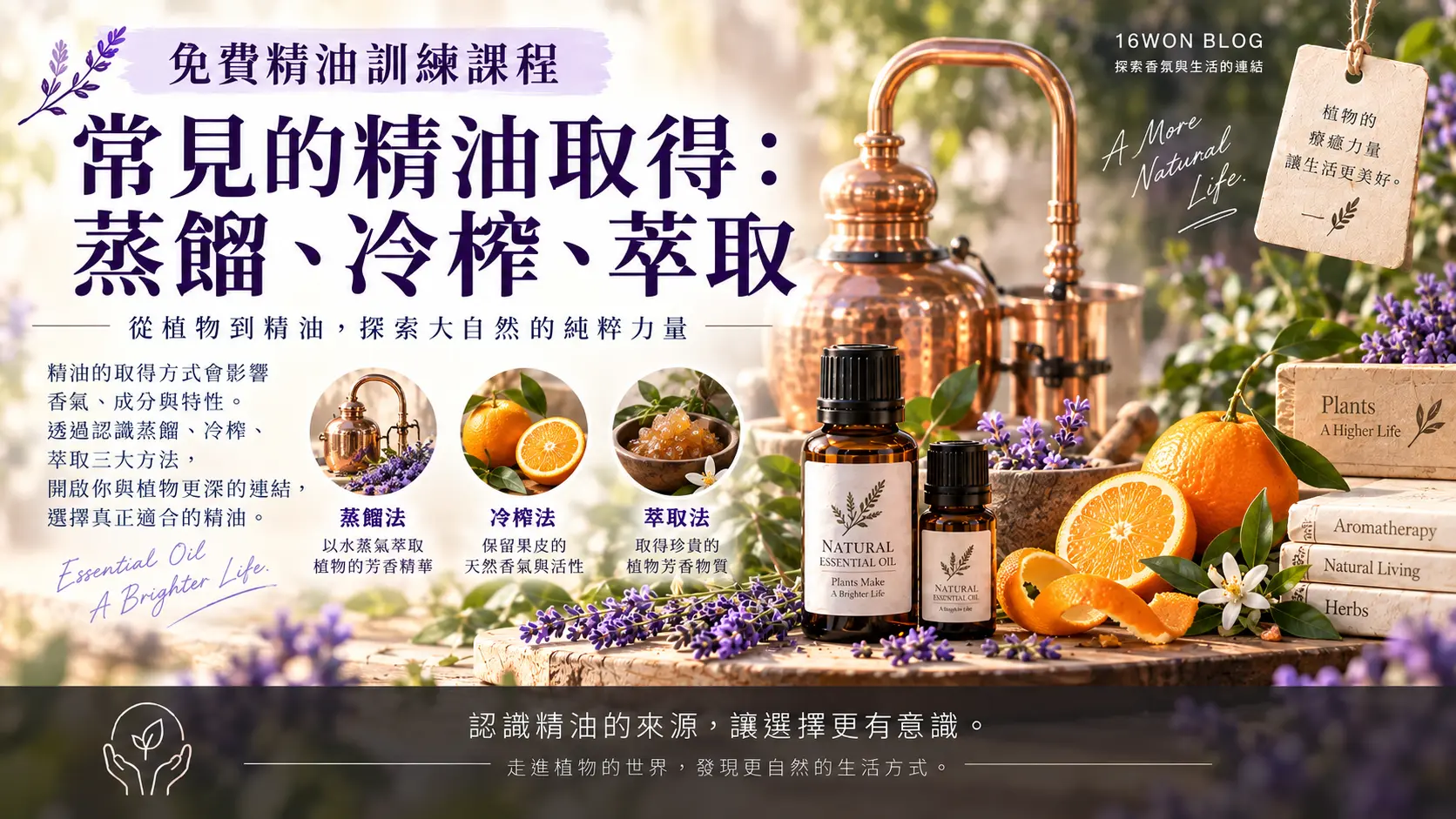 [ 免費精油訓練課程 ] 常見的精油取得：蒸餾、冷榨、萃取