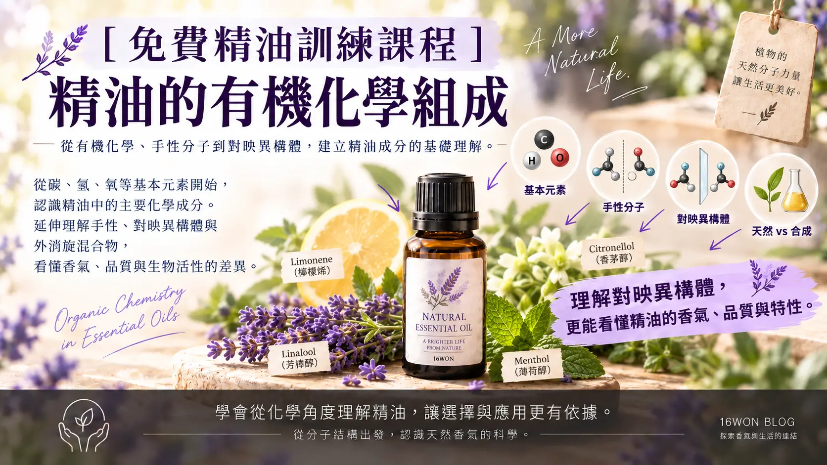 [ 免費精油訓練課程 ] 精油的有機化學組成